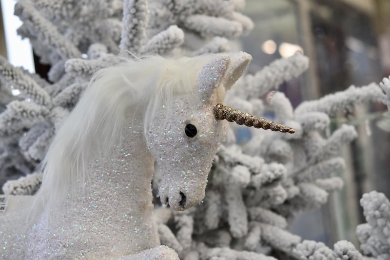 Unicorn Haven
